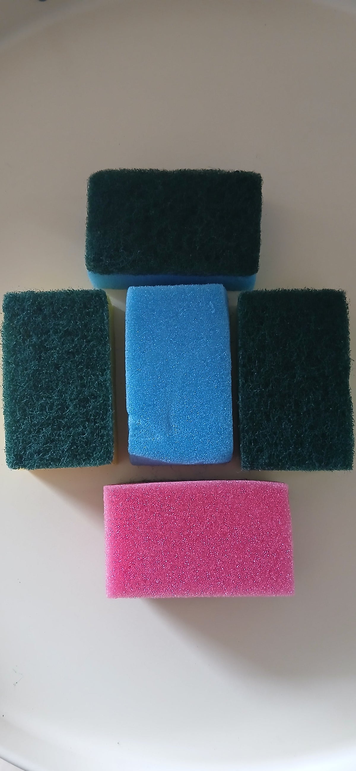 SPONGE SCOURERS